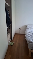 26 Newton (D11), Apartment #632385691